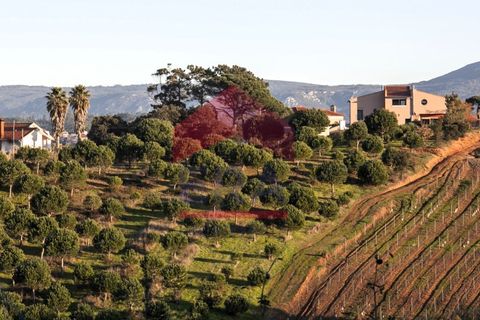Villa i Bombarral, Leiria, Bombarral - € 527.000 | Ref: 150250309 - foto 29