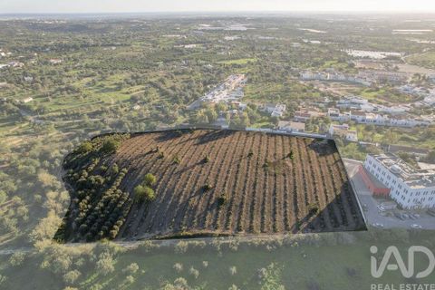 Helårsgrund i Faro, Faro, Faro - € 2.200.000 | Ref: 100619 - foto 2