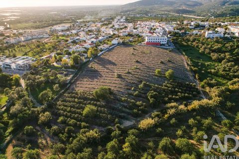 Helårsgrund i Faro, Faro, Faro - € 2.200.000 | Ref: 100619 - foto 3
