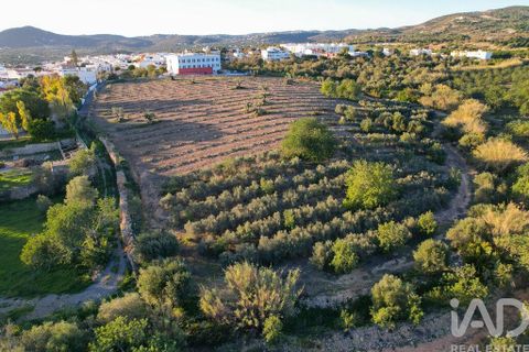 Helårsgrund i Faro, Faro, Faro - € 2.200.000 | Ref: 100619 - foto 4