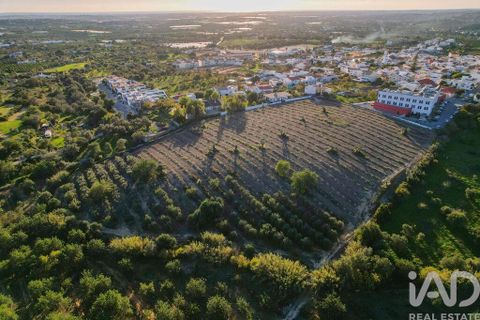 Helårsgrund i Faro, Faro, Faro - € 2.200.000 | Ref: 100619 - foto 5