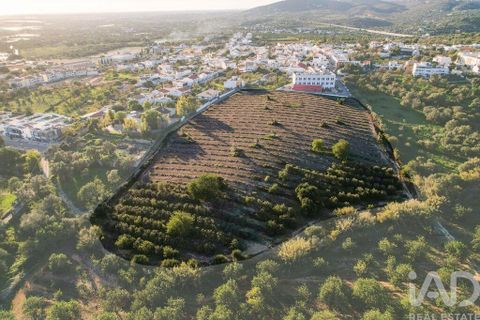 Helårsgrund i Faro, Faro, Faro - € 2.200.000 | Ref: 100619 - foto 6