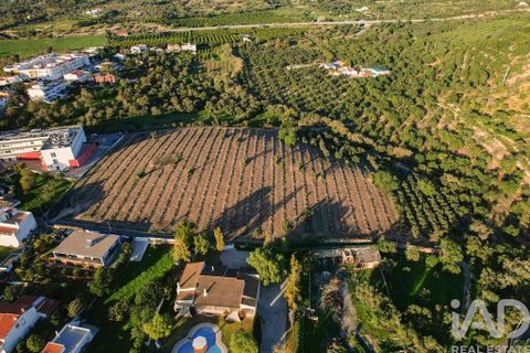 Helårsgrund i Faro, Faro, Faro - € 2.200.000 | Ref: 100619 - foto 8