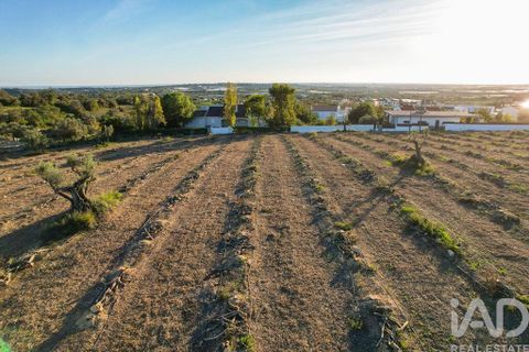Helårsgrund i Faro, Faro, Faro - € 2.200.000 | Ref: 100619 - foto 10