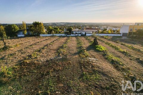 Helårsgrund i Faro, Faro, Faro - € 2.200.000 | Ref: 100619 - foto 11