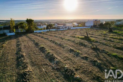Helårsgrund i Faro, Faro, Faro - € 2.200.000 | Ref: 100619 - foto 12
