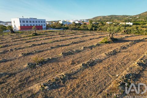 Helårsgrund i Faro, Faro, Faro - € 2.200.000 | Ref: 100619 - foto 13