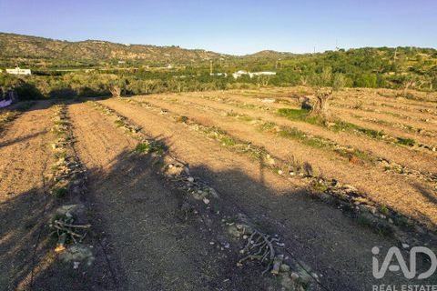 Helårsgrund i Faro, Faro, Faro - € 2.200.000 | Ref: 100619 - foto 14