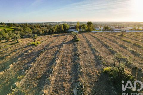 Helårsgrund i Faro, Faro, Faro - € 2.200.000 | Ref: 100619 - foto 16
