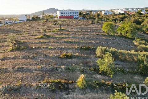 Helårsgrund i Faro, Faro, Faro - € 2.200.000 | Ref: 100619 - foto 17