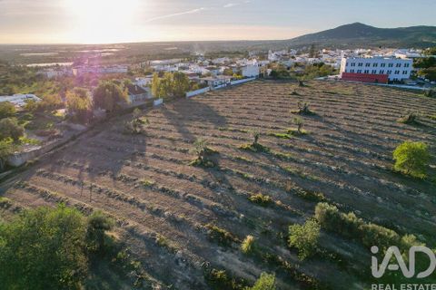 Helårsgrund i Faro, Faro, Faro - € 2.200.000 | Ref: 100619 - foto 18