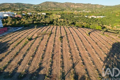 Helårsgrund i Faro, Faro, Faro - € 2.200.000 | Ref: 100619 - foto 19