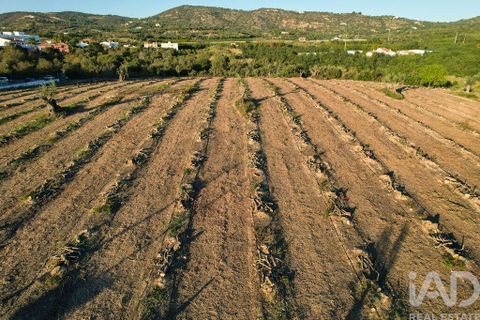Helårsgrund i Faro, Faro, Faro - € 2.200.000 | Ref: 100619 - foto 20