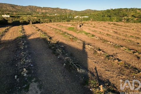 Helårsgrund i Faro, Faro, Faro - € 2.200.000 | Ref: 100619 - foto 21