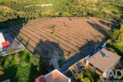 Helårsgrund i Faro, Faro, Faro - € 2.200.000 | Ref: 100619 - foto 22