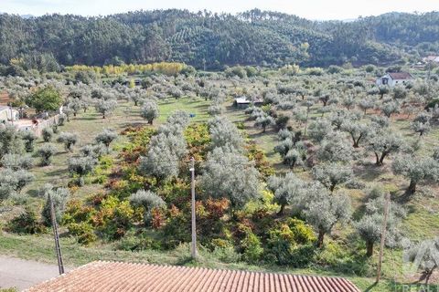 Helårsgrund i Penela, Coimbra, Penela - € 33.000 | Ref: 742065 - foto 1