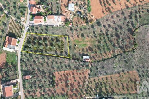 Helårsgrund i Penela, Coimbra, Penela - € 33.000 | Ref: 742065 - foto 2