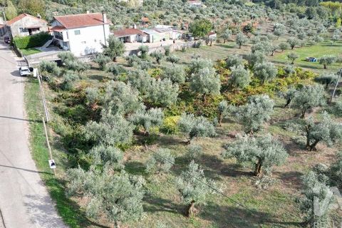 Helårsgrund i Penela, Coimbra, Penela - € 33.000 | Ref: 742065 - foto 3