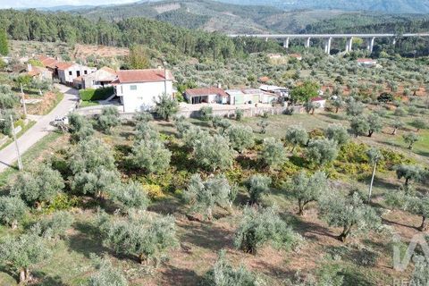 Helårsgrund i Penela, Coimbra, Penela - € 33.000 | Ref: 742065 - foto 4