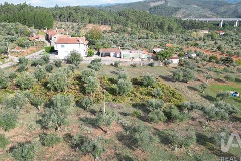 Helårsgrund i Penela, Coimbra, Penela - € 33.000 | Ref: 742065 - foto 5