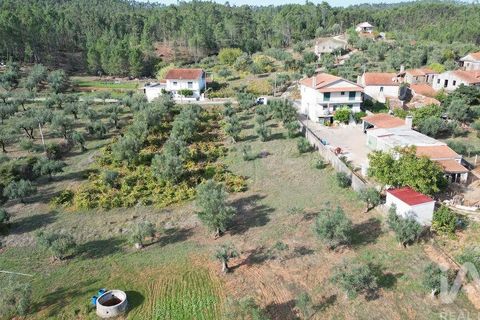 Helårsgrund i Penela, Coimbra, Penela - € 33.000 | Ref: 742065 - foto 7