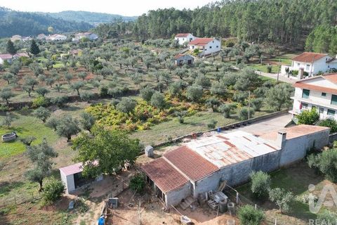 Helårsgrund i Penela, Coimbra, Penela - € 33.000 | Ref: 742065 - foto 8
