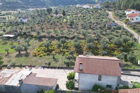 Helårsgrund i Penela, Coimbra, Penela - € 33.000 | Ref: 742065 - foto 9