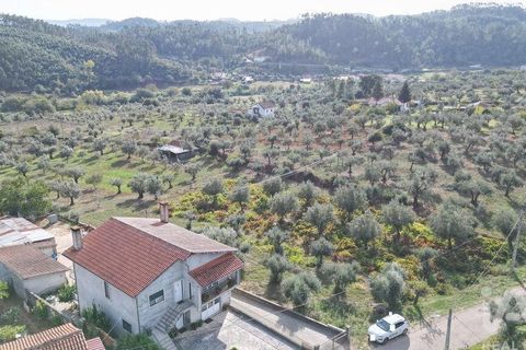 Helårsgrund i Penela, Coimbra, Penela - € 33.000 | Ref: 742065 - foto 10