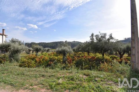 Helårsgrund i Penela, Coimbra, Penela - € 33.000 | Ref: 742065 - foto 12