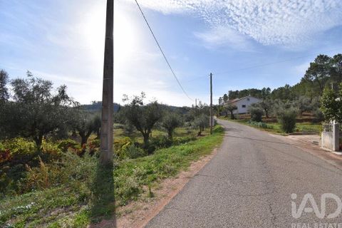 Helårsgrund i Penela, Coimbra, Penela - € 33.000 | Ref: 742065 - foto 13
