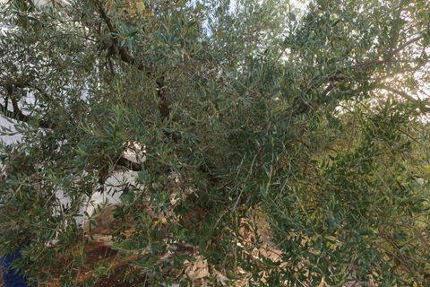 Villa a Iznajar, Cordoba, Iznajar - € 82.000 | Ref: EXP11809/8930 - foto 33
