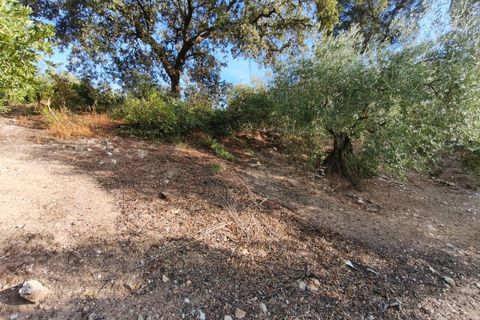 Villa a Iznajar, Cordoba, Iznajar - € 82.000 | Ref: EXP11809/8930 - foto 49