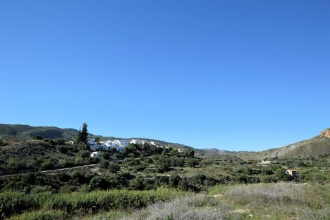 Cortijo i Bedar, Almeria, Bedar - € 625.000 | Ref: OLV2130 - foto 13