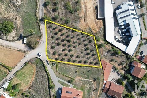 Helårsgrund i Penela, Coimbra, Penela - € 35.000 | Ref: 742009 - foto 2