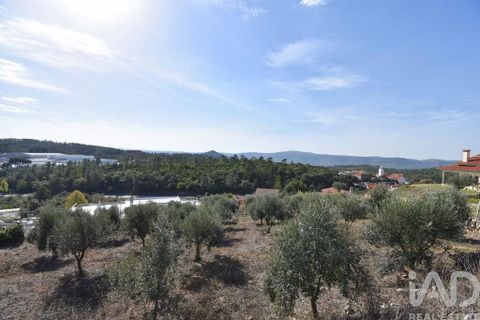 Helårsgrund i Penela, Coimbra, Penela - € 35.000 | Ref: 742009 - foto 4