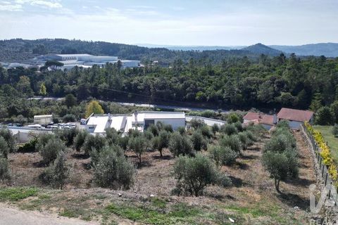 Helårsgrund i Penela, Coimbra, Penela - € 35.000 | Ref: 742009 - foto 5