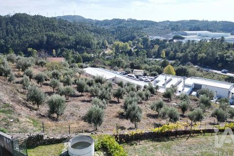 Helårsgrund i Penela, Coimbra, Penela - € 35.000 | Ref: 742009 - foto 6