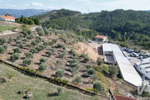 Helårsgrund i Penela, Coimbra, Penela - € 35.000 | Ref: 742009 - foto 7