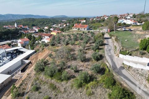 Helårsgrund i Penela, Coimbra, Penela - € 35.000 | Ref: 742009 - foto 9