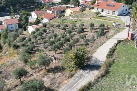 Helårsgrund i Penela, Coimbra, Penela - € 35.000 | Ref: 742009 - foto 10