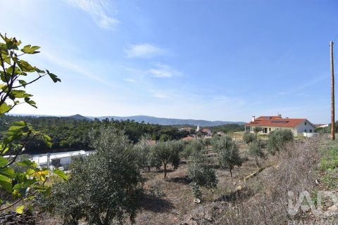 Helårsgrund i Penela, Coimbra, Penela - € 35.000 | Ref: 742009 - foto 11