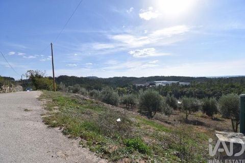 Helårsgrund i Penela, Coimbra, Penela - € 35.000 | Ref: 742009 - foto 12