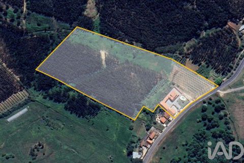 Byhus i Cadaval, Lisbon, Cadaval - € 750.000 | Ref: 143713 - foto 4
