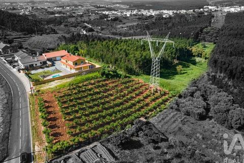 Byhus i Cadaval, Lisbon, Cadaval - € 750.000 | Ref: 143713 - foto 20