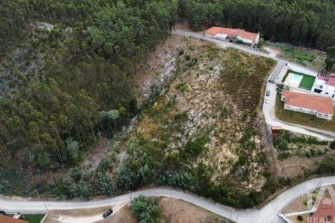 Helårsgrund i Leiria, Leiria, Leiria - € 42.500 | Ref: 741903 - foto 3