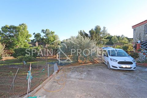 Villa i Masia Del Conde Cortichelles, Valencia, Masia Del Conde Cortichelles - € 270.000 | Ref: 091430 - foto 4