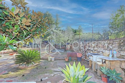 Villa i Masia Del Conde Cortichelles, Valencia, Masia Del Conde Cortichelles - € 270.000 | Ref: 091430 - foto 13