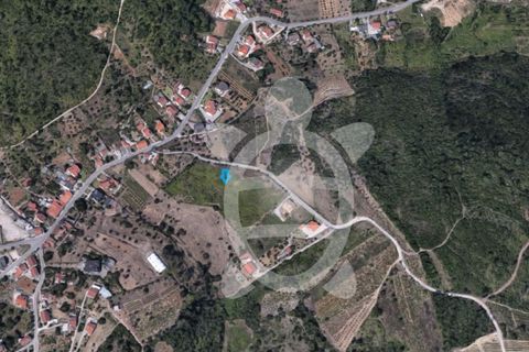 Helårsgrund i Coimbra, Coimbra, Coimbra - € 80.000 | Ref: cbr3347 - foto 4