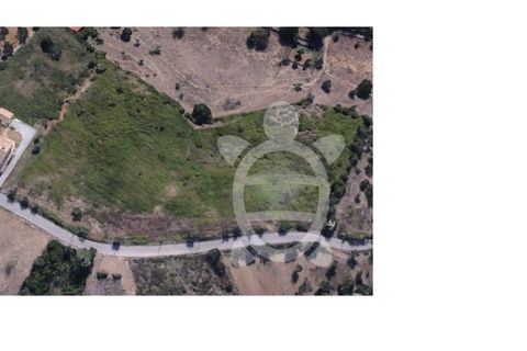 Helårsgrund i Coimbra, Coimbra, Coimbra - € 80.000 | Ref: cbr3347 - foto 3