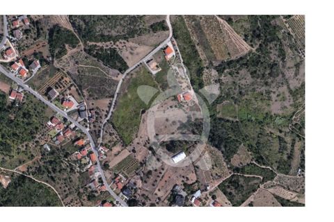 Helårsgrund i Coimbra, Coimbra, Coimbra - € 80.000 | Ref: cbr3347 - foto 6